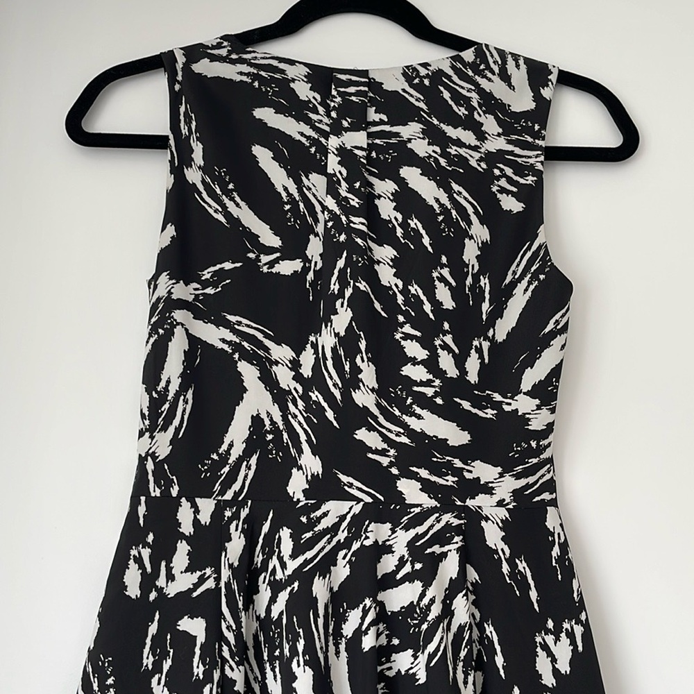 Express Dress - Picture 5 of 5